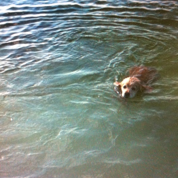 Meet your Posher, Eve - Picture 9 of 14